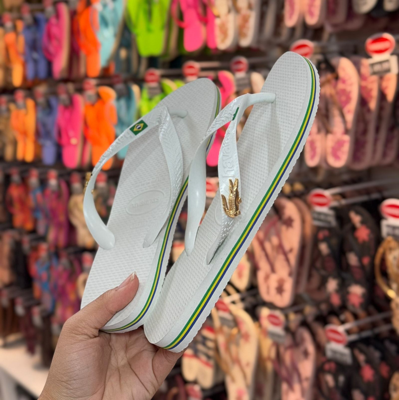 Havaianas Brasil + Pin Jacaré